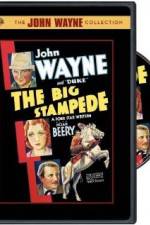 Watch The Big Stampede 123movies