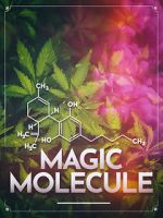 Watch Magic Molecule 123movies