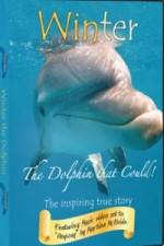 Watch Winter The Dolphin That Could 123movies