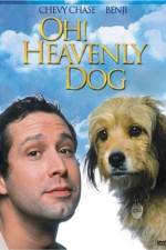 Watch Oh Heavenly Dog 123movies