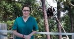 Watch Sue Perkins and the Chimp Sanctuary 123movies