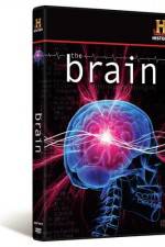 Watch The Brain 123movies