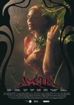Watch Asche 123movies