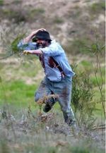 Watch Riot or Revolution: Eureka Stockade 1854 123movies