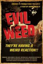 Watch Evil Weed 123movies