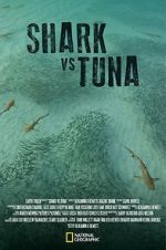 Watch Shark vs Tuna 123movies