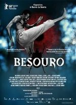 Watch The Assailant 123movies