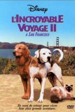 Watch Homeward Bound II Lost in San Francisco 123movies