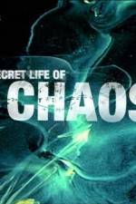 Watch The Secret Life of Chaos 123movies