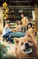 Watch Hachiko 123movies