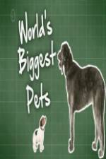 Watch World's Biggest Pets 123movies