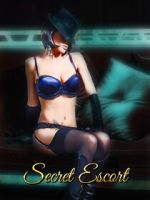 Watch Secret Escort 123movies