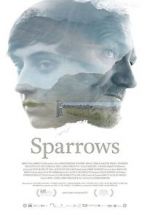 Watch Sparrows 123movies