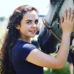 Watch Wildfire: The Legend of the Cherokee Ghost Horse 123movies