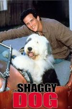 Watch The Shaggy Dog 123movies