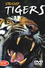 Watch Swamp Tigers 123movies