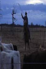 Watch Cowboy Christmas 123movies