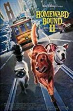 Watch Homeward Bound II: Lost in San Francisco 123movies