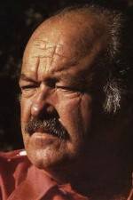 Watch The Return of Frank Cannon 123movies