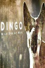 Watch Dingo Wild Dog at War 123movies