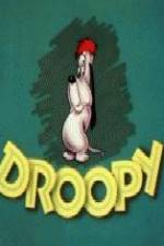 Watch Homesteader Droopy 123movies