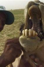 Watch With the Nomads 123movies