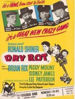 Watch Dry Rot 123movies