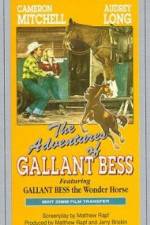 Watch Adventures of Gallant Bess 123movies