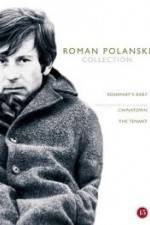 Watch The Fat and the Lean 123movies