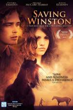 Watch Saving Winston 123movies