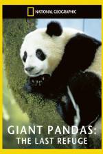 Watch National Geographic Giant Pandas The Last Refuge 123movies