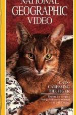 Watch Cats Caressing the Tiger 123movies