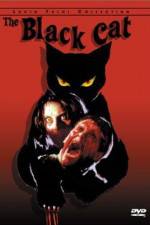 Watch Black Cat 123movies