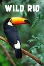 Watch Wild Rio 123movies