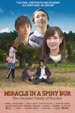 Watch Miracle in Kasama 123movies