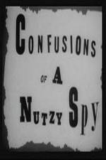 Watch Confusions of a Nutzy Spy 123movies
