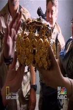 Watch Iraq's Lost Treasure 123movies