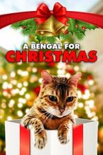 Watch A Bengal for Christmas 123movies