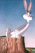 Watch The Unruly Hare 123movies