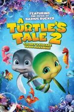 Watch A Turtle\'s Tale 2: Sammy\'s Escape from Paradise 123movies
