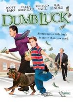 Watch Dumb Luck 123movies