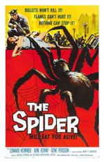 Watch The Spider 123movies