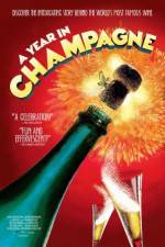 Watch A Year in Champagne 123movies