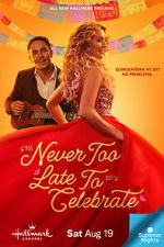 Watch Never Too Late to Celebrate 123movies