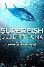 Watch Superfish Bluefin Tuna 123movies