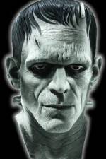 Watch Frankenstein Birth of a Monster 123movies
