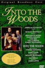 Watch Into the Woods 123movies