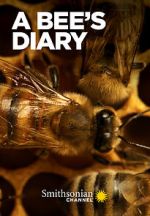 Watch A Bee\'s Diary (TV Special 2022) 123movies