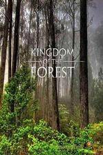 Watch National Geographic Kingdom of the Forest 123movies