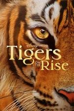 Watch Tigers on the Rise 123movies